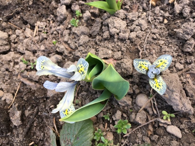 DB7DDD46-AEDC-4DFC-B6AE-4B90357F5099 - Martie