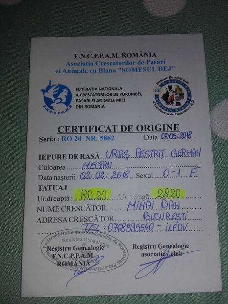 Schimb cu ugg - Urias pestrit german femela!!!