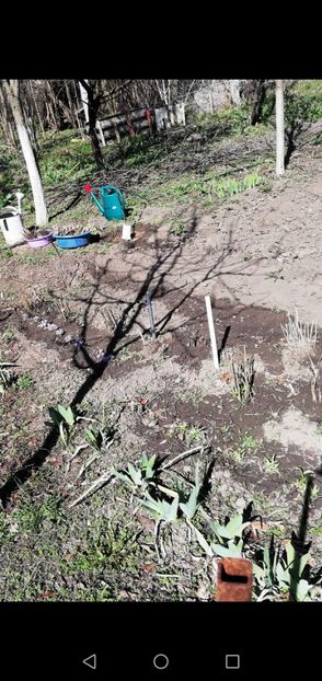 Screenshot_20190317-105705 - 00- 2019- De primavara