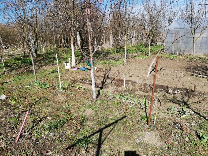  - 00- 2019- De primavara