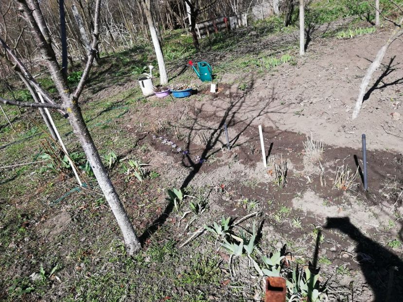  - 00- 2019- De primavara