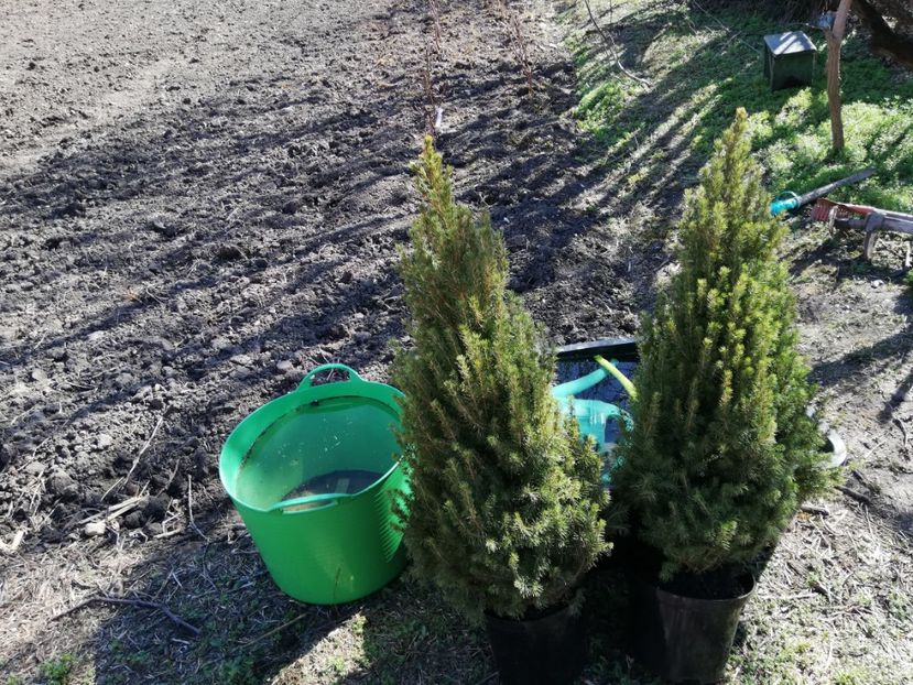  - 00- 2019- De primavara