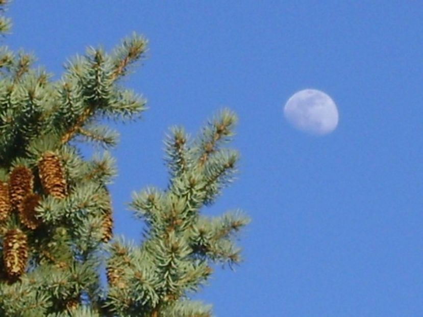 Luna in crestere in Leu - Luna - Soarele si norii - 1