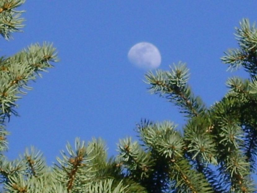 Luna in crestere in Leu - Luna - Soarele si norii - 1