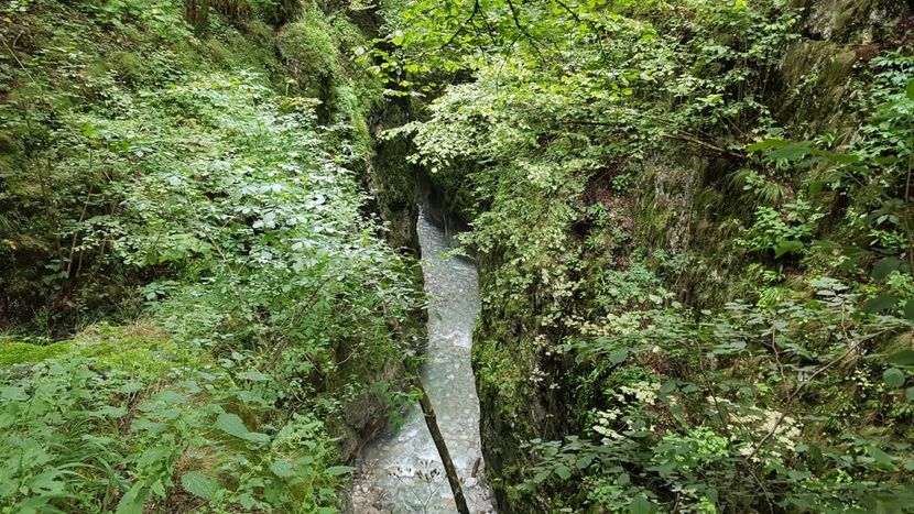 IMG-20180725-WA0011 - 2018 CU BICICLETA SPRE CHEILE POLOVRAGI