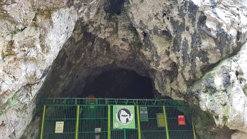 IMG-20180725-WA0013 - 2018 CU BICICLETA SPRE CHEILE POLOVRAGI