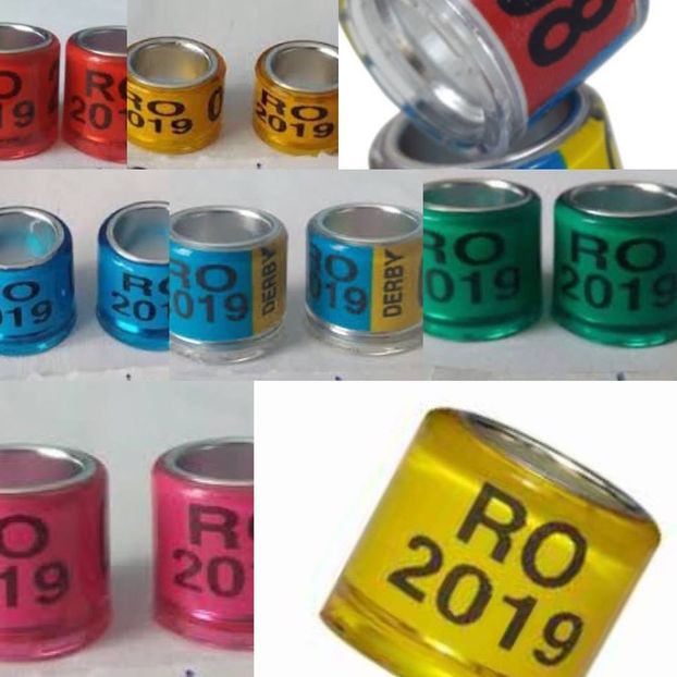  - PRODUSE PORUMBEI -0725840353