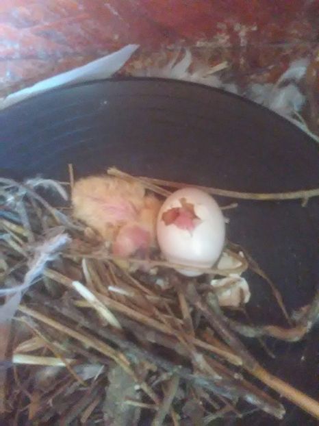 IMG-20190318-WA0005 - 2019