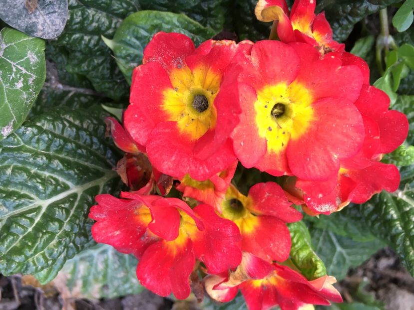 C6516F6F-8B45-4FBB-B916-D7AB2F7C4166 - Martie