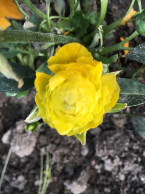 1BA13C76-312A-4733-9C62-6943C28A9556 - Martie