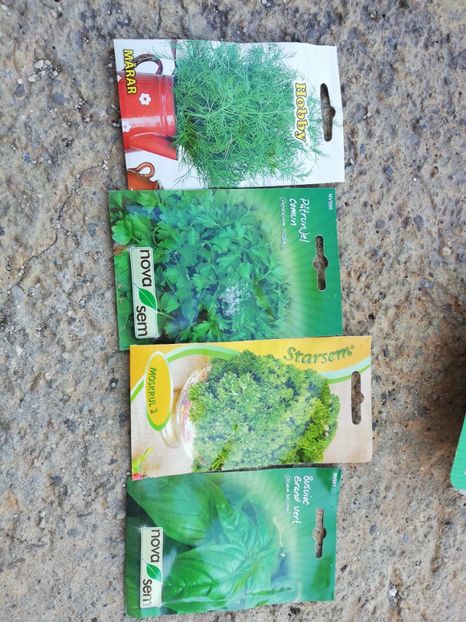  - Ultimele achizitii