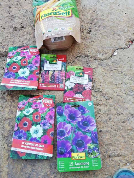  - Ultimele achizitii