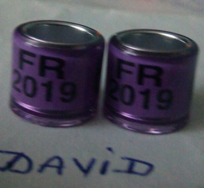 2019-FRANTA-8 mm fara talon....-1 leu - Inele porumbei 2019 de vanzare