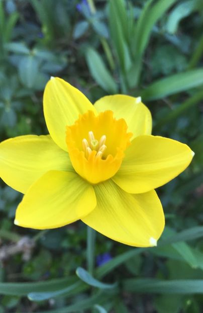 8B7F1965-E6F3-4EC1-8106-70E867D1962A - Narcise 2019 2022 25