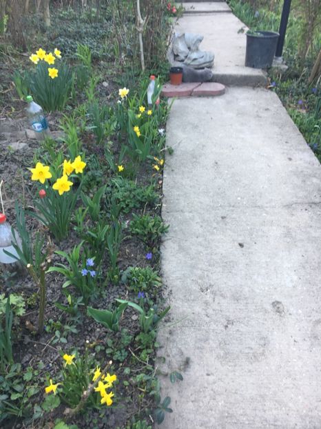 BDEFE470-1308-4EA5-AA84-D537F619D4FB - Narcise 2019 2022 25