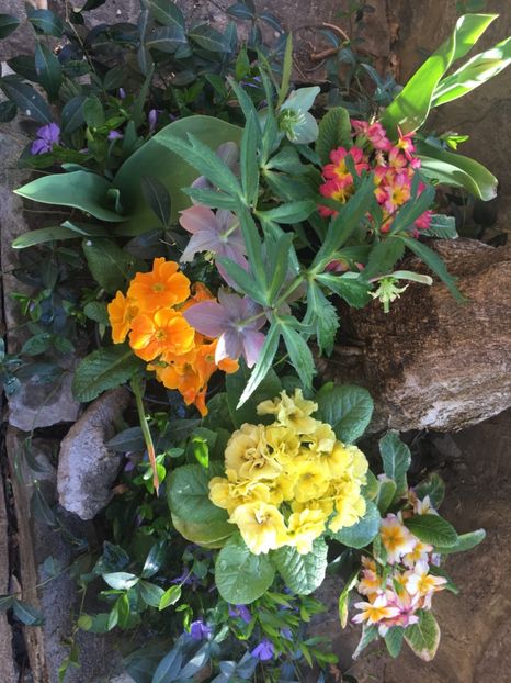 561C2450-CEB2-4371-B23D-83C801AF0AE7 - Spanz 2019