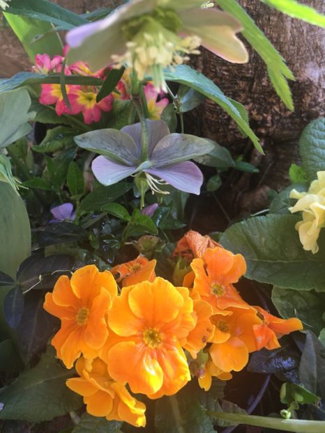 95FB9158-D69F-436B-B640-82312877D43E - Spanz 2019