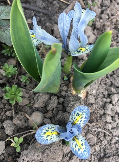 D9AEB8C4-B21F-427C-A8CF-2E12C4E23BA4 - Martie