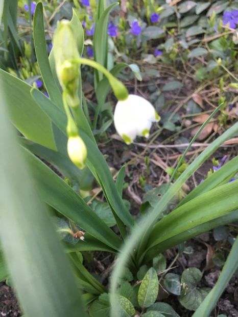 0A71714F-04F3-4B63-9B1A-58E1598B0840 - Martie