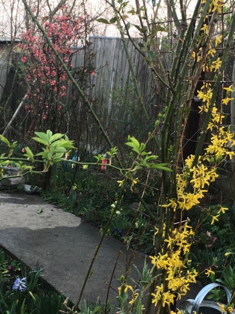 9E3FB53F-916B-4877-B510-51A87D678347 - Martie