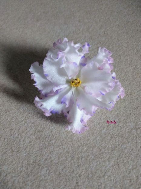  - RS-Diadema planta 2