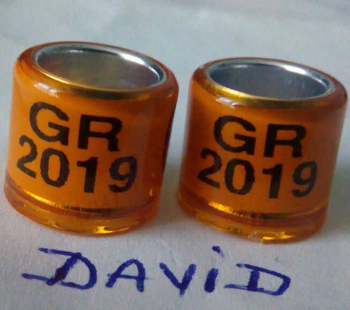 2019-GRECIA-8mm fara talon....-1 leu - Inele porumbei 2019 de vanzare