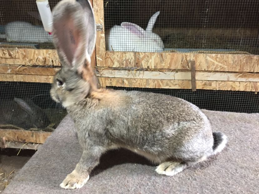 6F0B8289-A23D-45BF-B562-F56D06AB58E3 - RO 8-128191