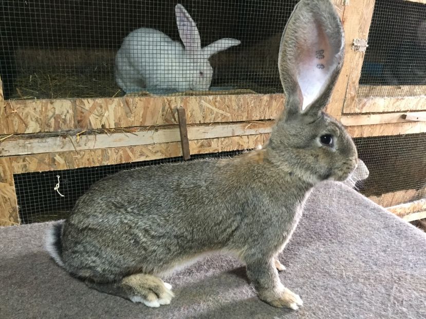 EEFB7BE1-1BF6-4F5E-BADB-CF621EFED782 - RO 8-128194