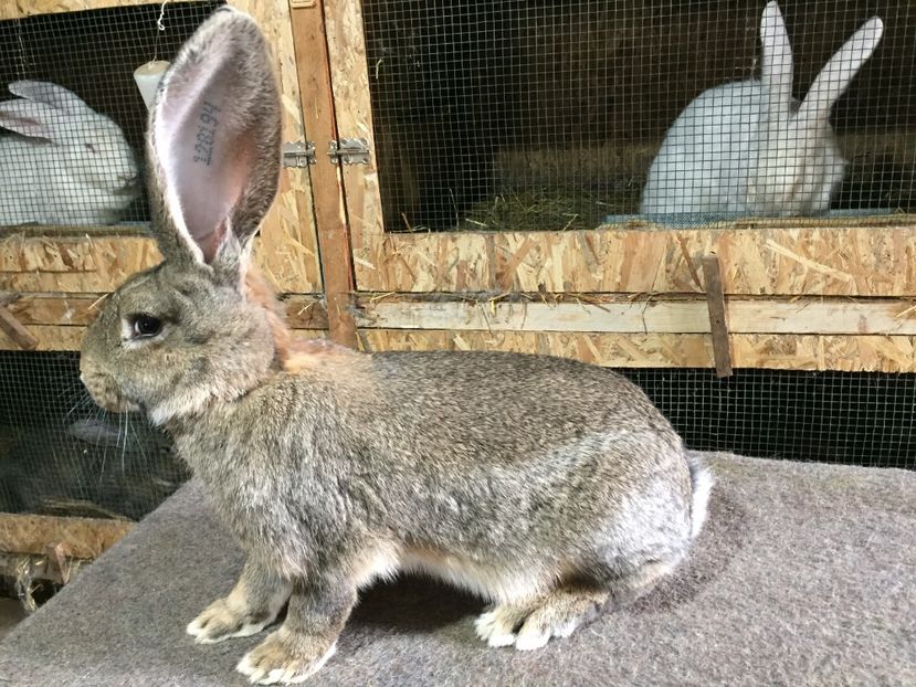 5F9B20A8-0126-40B4-8BB7-956C6260F8C2 - RO 8-128194