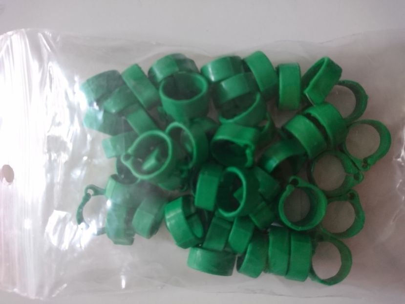 CLEME RECUNOASTERE VERDE 8X5 MM 50 BUC 8 RON - ACCESORII PORUMBEI