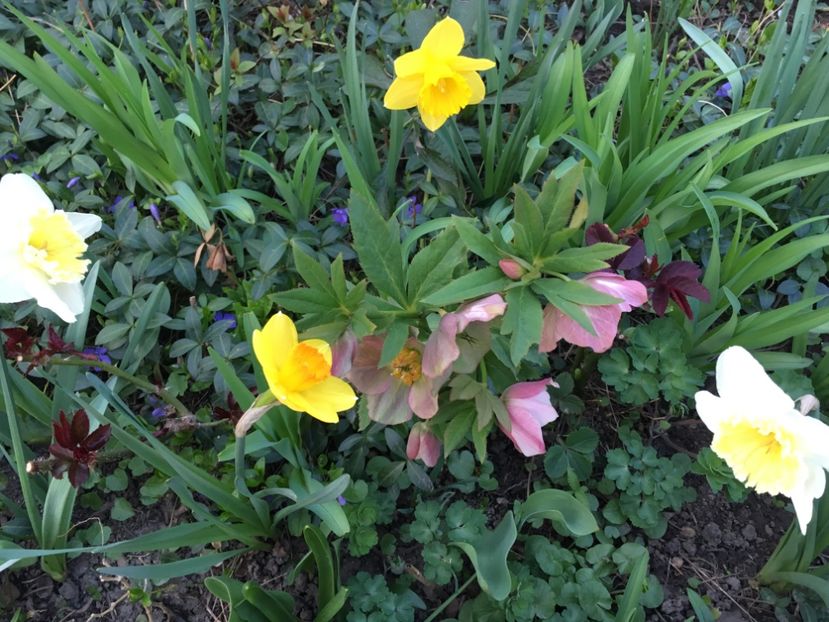 B7858DD2-9BBD-44A1-9CCF-BB01E47587F9 - Spanz 2019