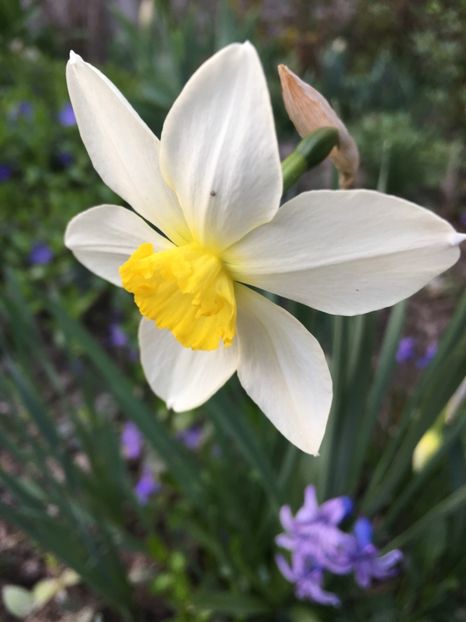 83D73D6B-8A1B-4E05-9035-394F2D60F5C1 - Narcise 2019 2022 25