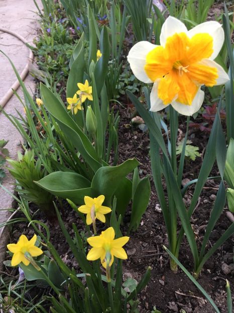 89FDAB2D-72CF-4534-A04F-418DCAEEBD2F - Narcise 2019 2022 25