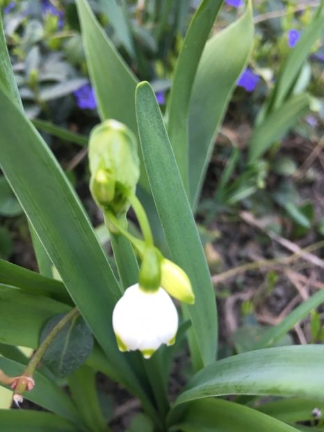 1E3F8CC9-FA3C-421D-B51B-DDBF1EC7F2F7 - Martie