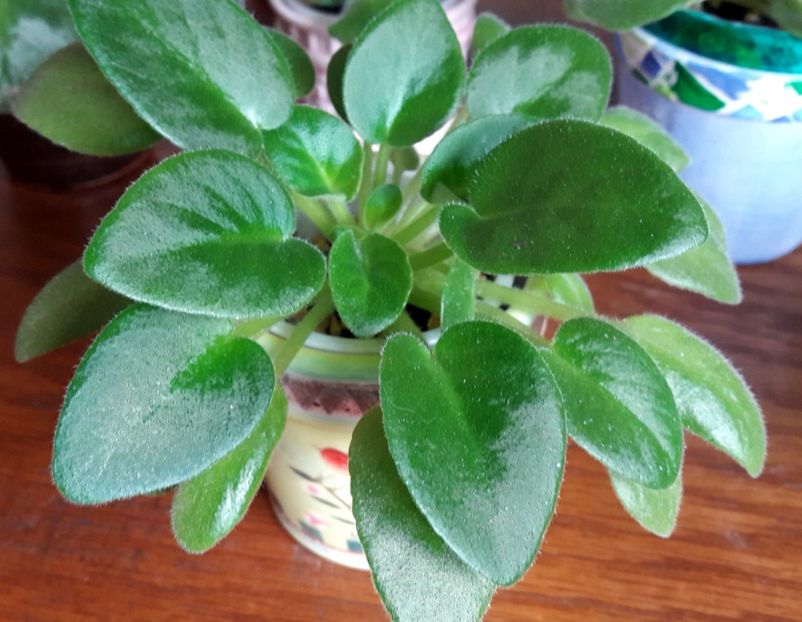  - Alchemy Antique Bells