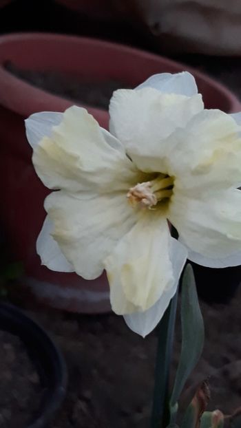  - Primavara 2019-2022