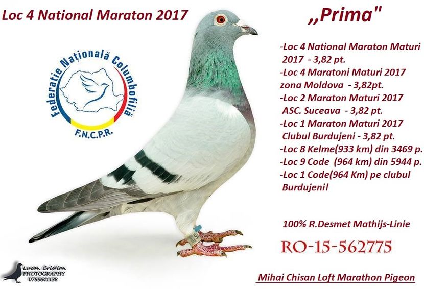 24740852_1797735603584506_1729377424_n - Copy - MATCA FEMELE