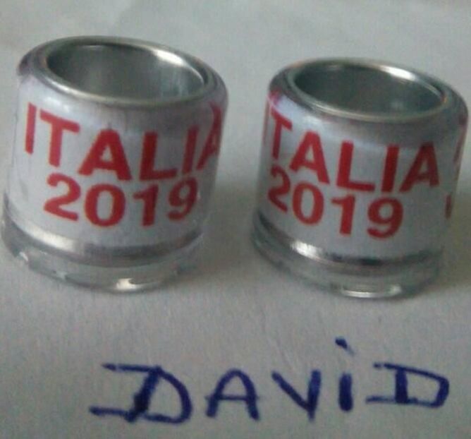 2019 - ITALIA 8mm fara talon.....-1,5 lei - Inele porumbei 2019 de vanzare
