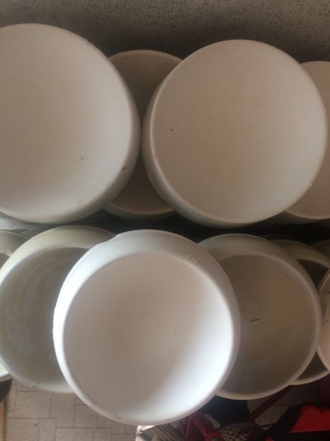 18 cm 3,5 lei si 23 cm 4,5 lei - 2- Vanzari - 2020