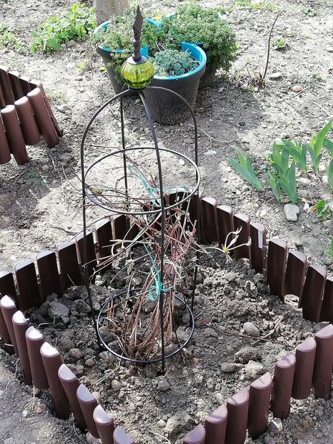  - 0-2019 - De prin curte