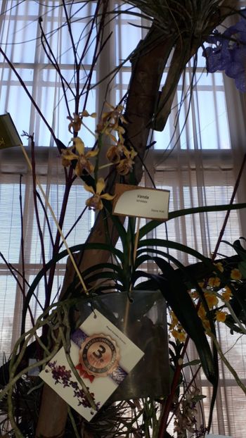  - Expozitie orhidee Budapesta 2019