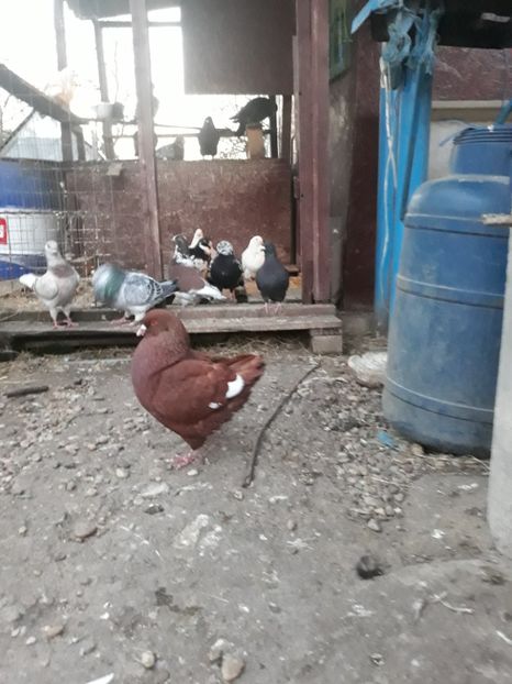 20190324_184114(0) - kingi