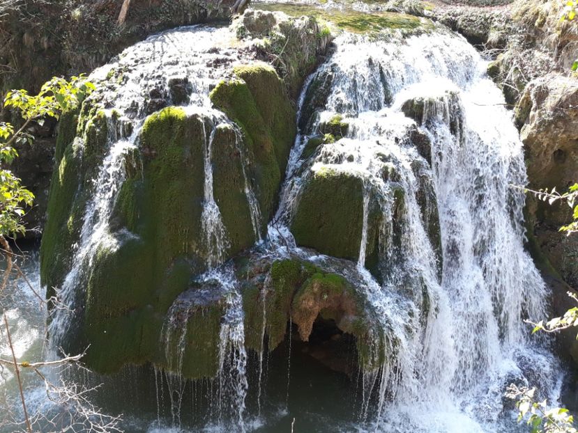  - 2019 -Excursie 23-24 martie