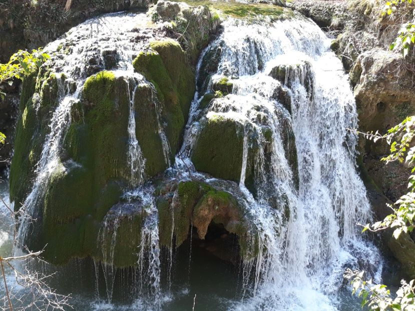  - 2019 -Excursie 23-24 martie