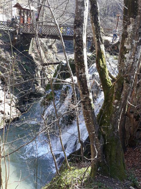  - 2019 -Excursie 23-24 martie