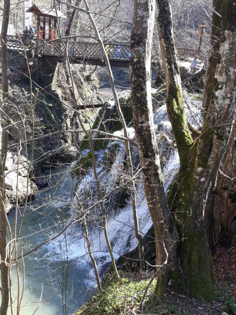  - 2019 -Excursie 23-24 martie