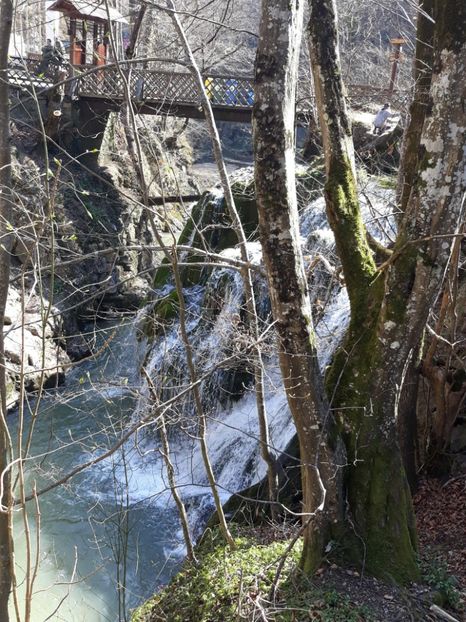  - 2019 -Excursie 23-24 martie