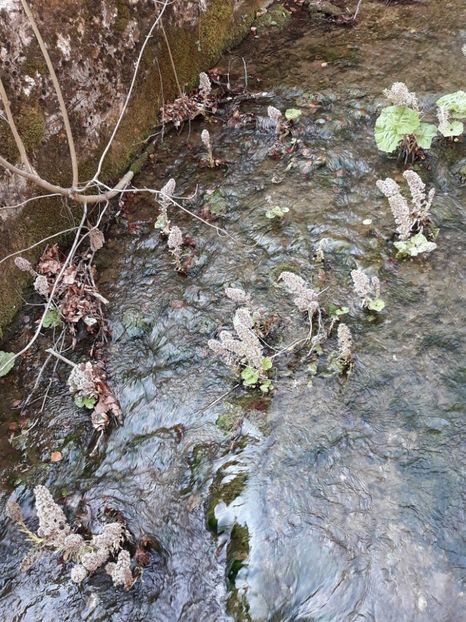  - 2019 -Excursie 23-24 martie