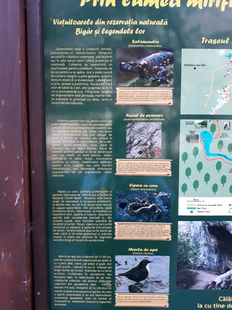  - 2019 -Excursie 23-24 martie