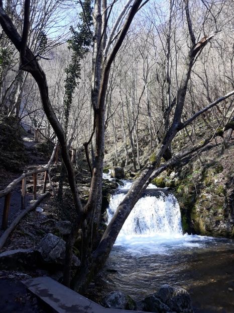  - 2019 -Excursie 23-24 martie